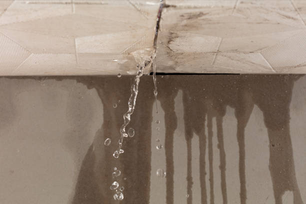 Professional Sewage Cleanup technician working in Newport, SC